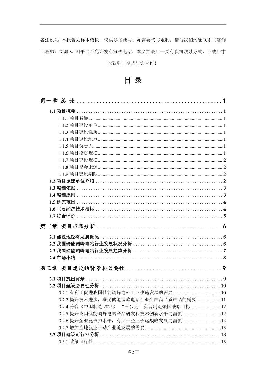 储能调峰电站项目可行性研究报告模板立项审批_第2页