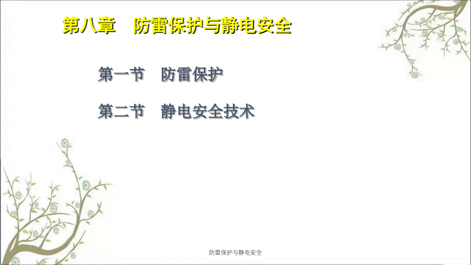 防雷保护与静电安全PPT课件_第2页