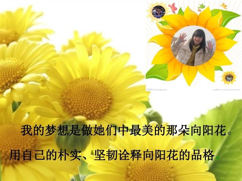 教师专业成长记录课件_第5页