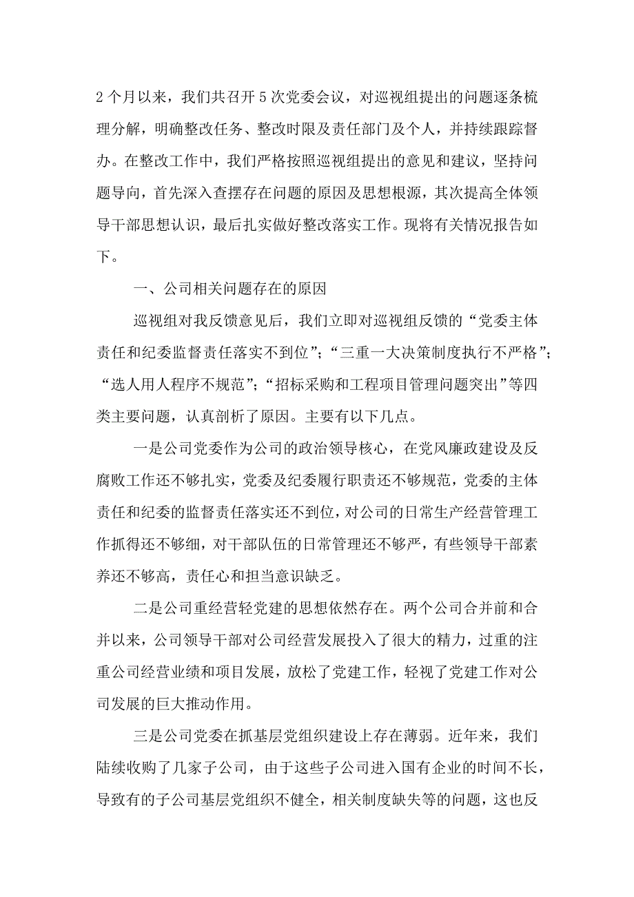 集团公司专项巡视整改对照材料.doc_第2页