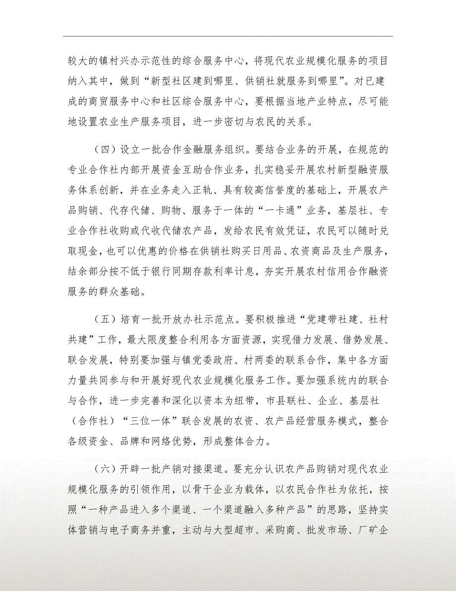 农业规模化服务活动方案_第5页