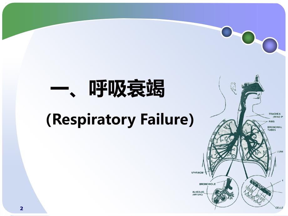 第二章呼吸衰竭和急性呼吸窘迫综合征ppt课件_第2页