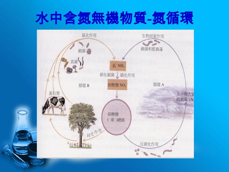 水中含氮污染物质於离子层析仪之检测与分析课件_第4页