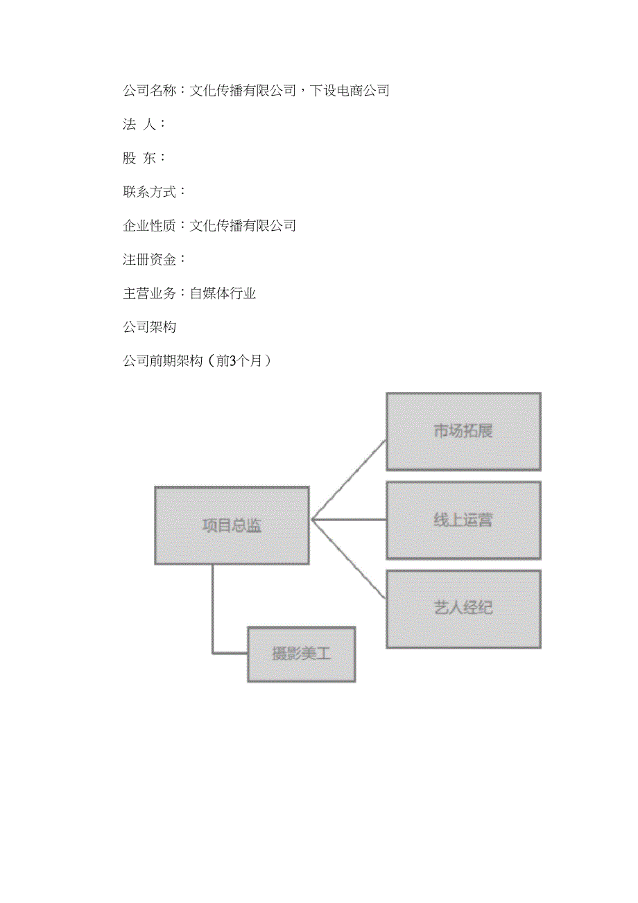 自媒体创业计划书_第4页