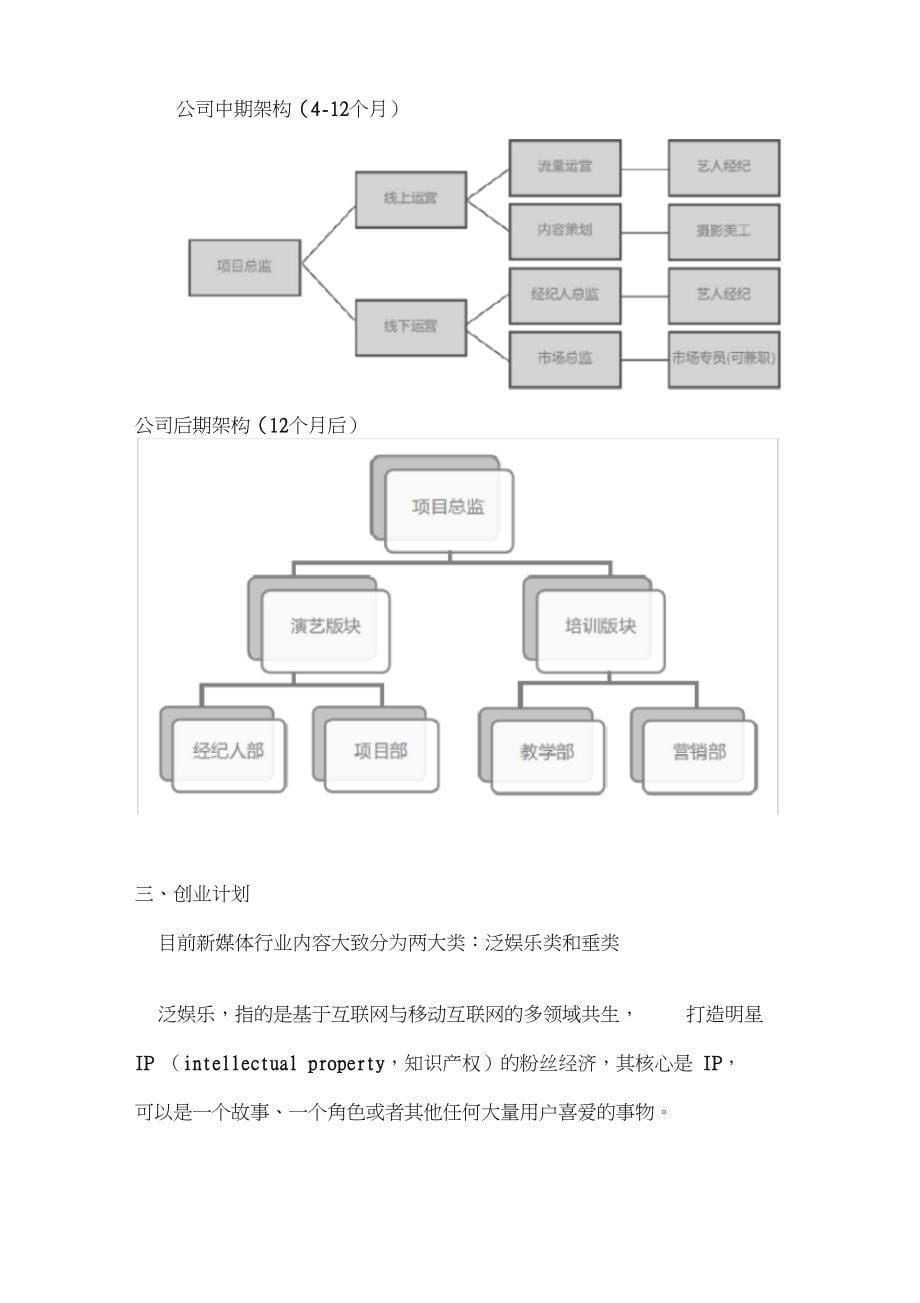 自媒体创业计划书_第5页