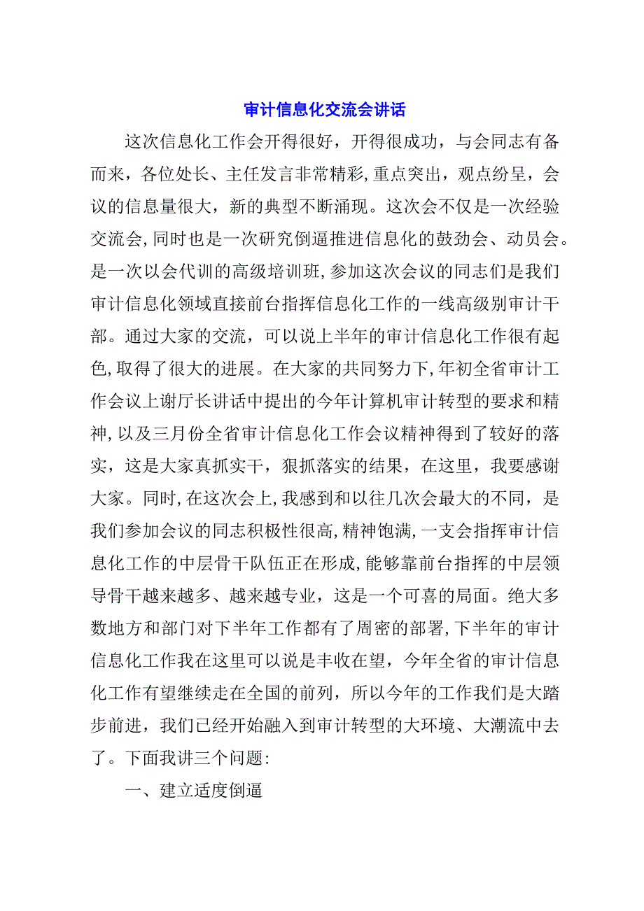 审计信息化交流会演讲稿.docx_第1页