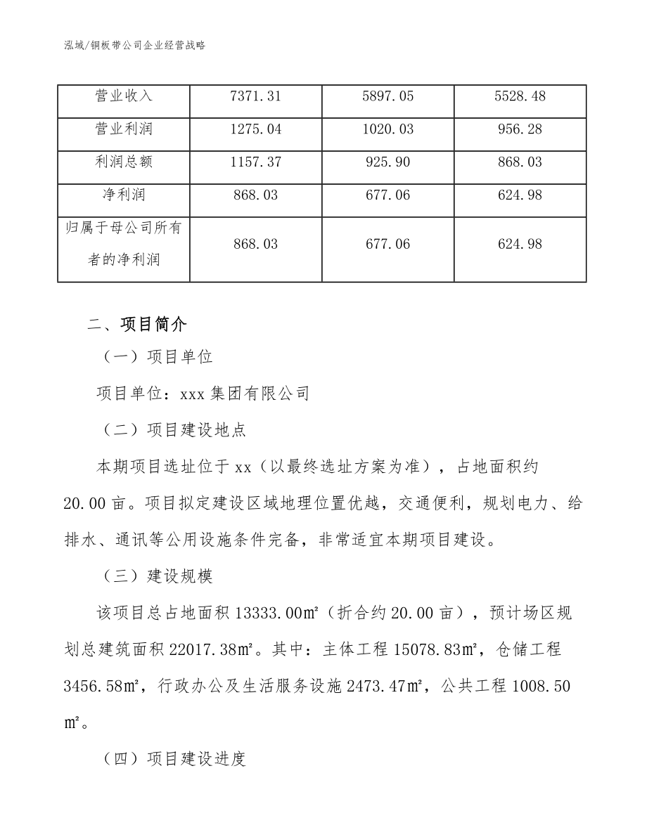 铜板带公司企业经营战略【范文】_第4页