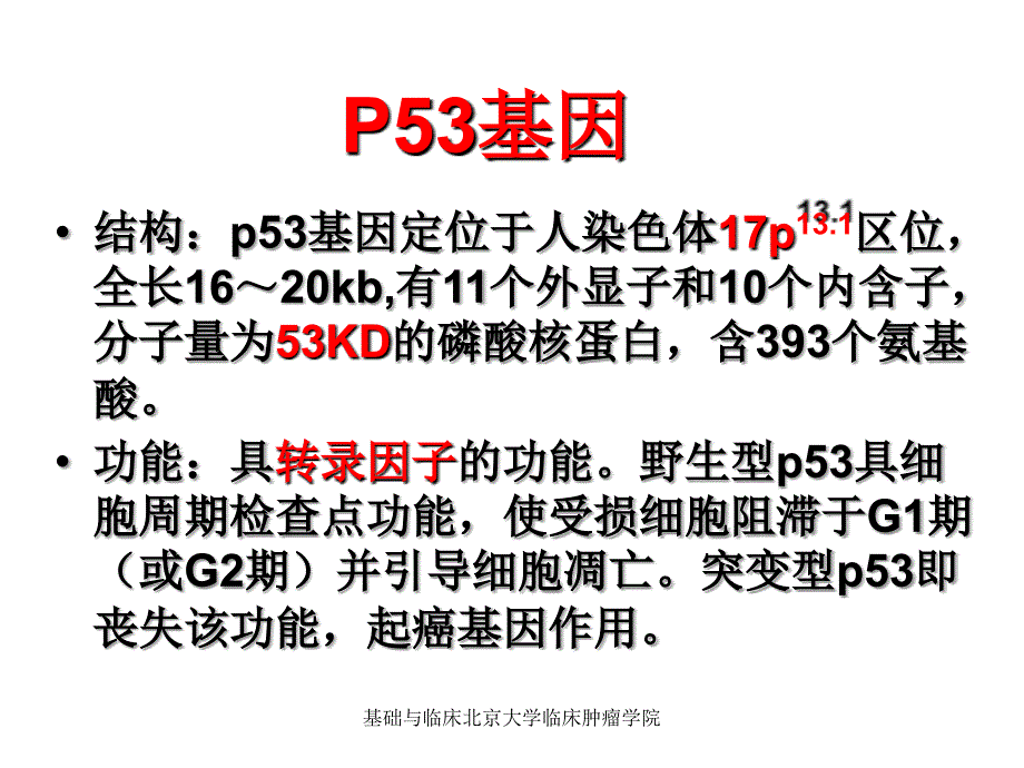 基础与临床北京大学临床肿瘤学院课件_第2页