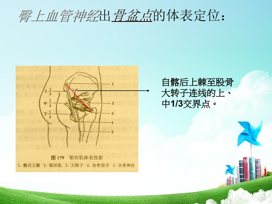 体表定位学之腰臀部_第2页