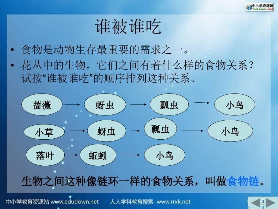 《食物链和食物网》ppt课件_第5页