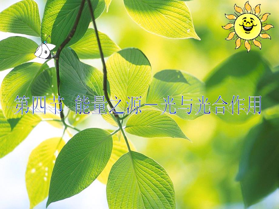 第4节能量之源光与光合作用——冷淑娇_第1页