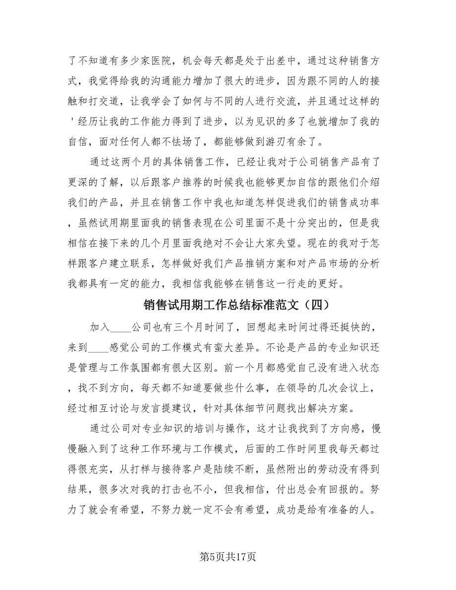 销售试用期工作总结标准范文.doc_第5页