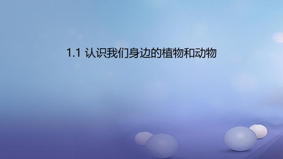 七年级生物上册1.1认识我们身边的植物和动物课件北京课改版_第1页