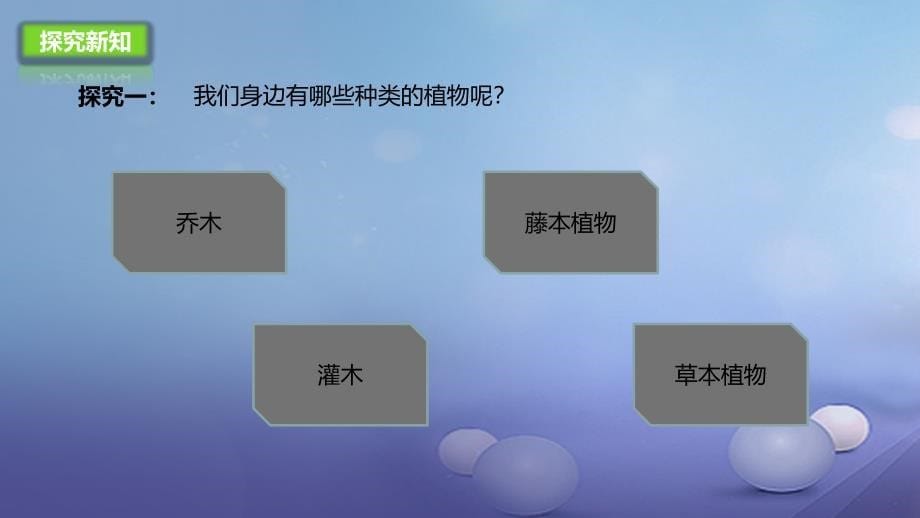 七年级生物上册1.1认识我们身边的植物和动物课件北京课改版_第5页