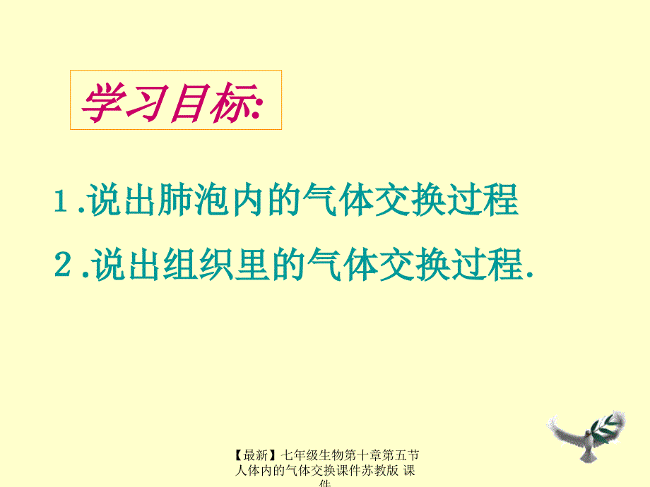 最新七年级生物第十章第五节人体内的气体交换课件苏教版课件_第3页