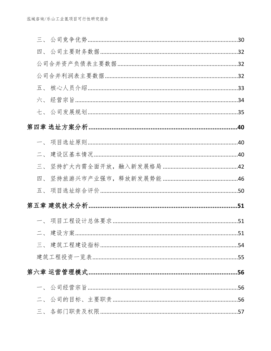 乐山工业氢项目可行性研究报告_模板范文_第3页