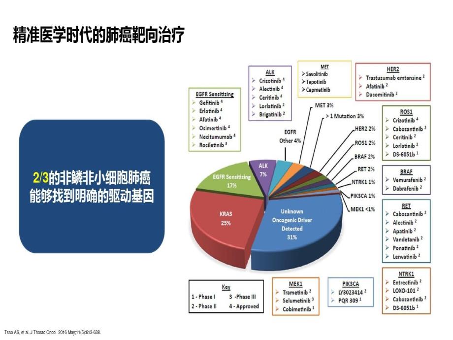 肺癌少见驱动基因靶向治疗研究进展共85页课件_第3页