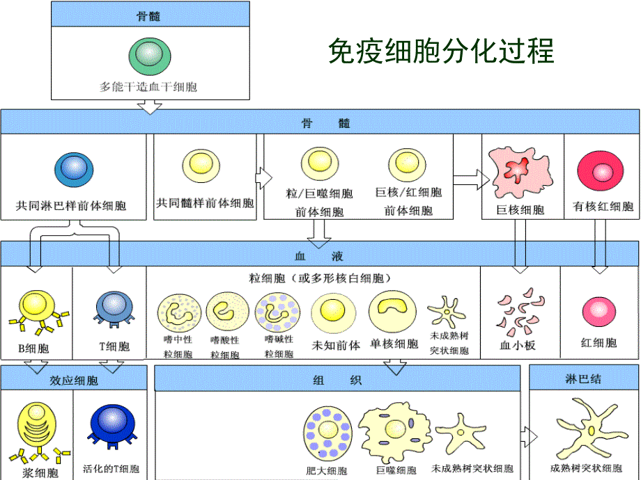 水电介质和酸碱平衡紊乱PPT演示课件_第3页