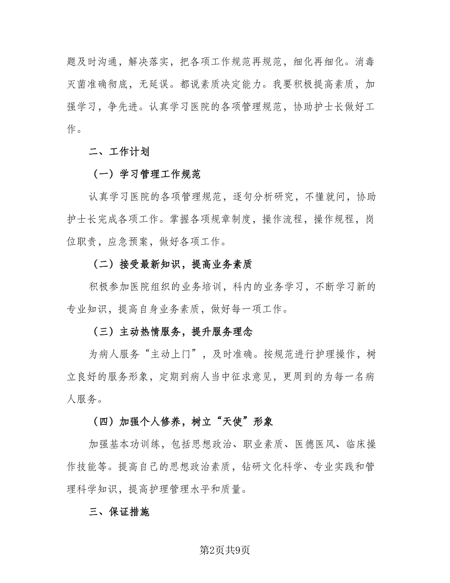 2023年护士长个人工作计划范文（5篇）_第2页