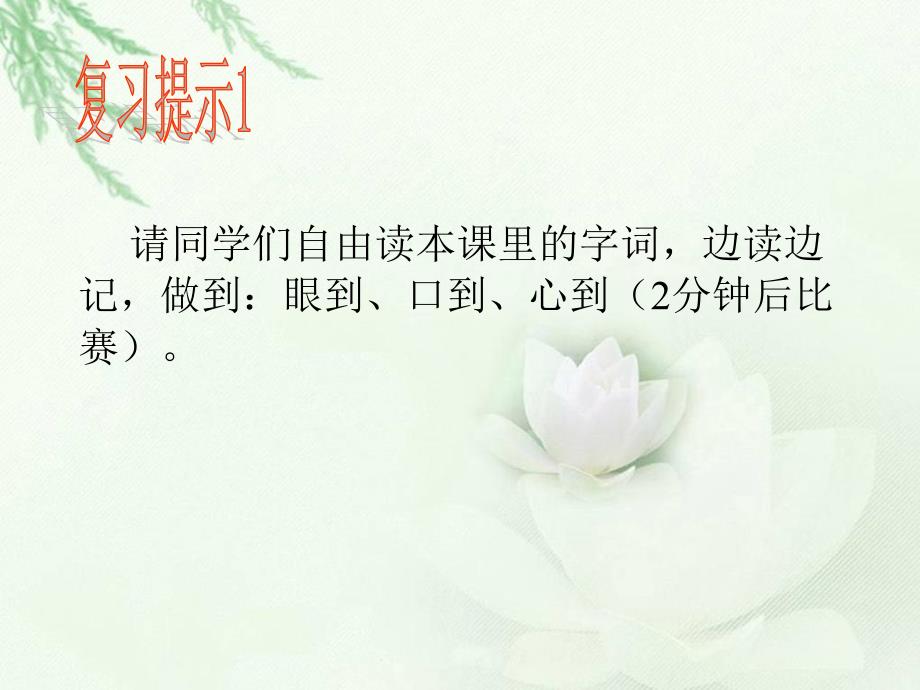 北师大版三年级语文下册第三单元小虾_第3页