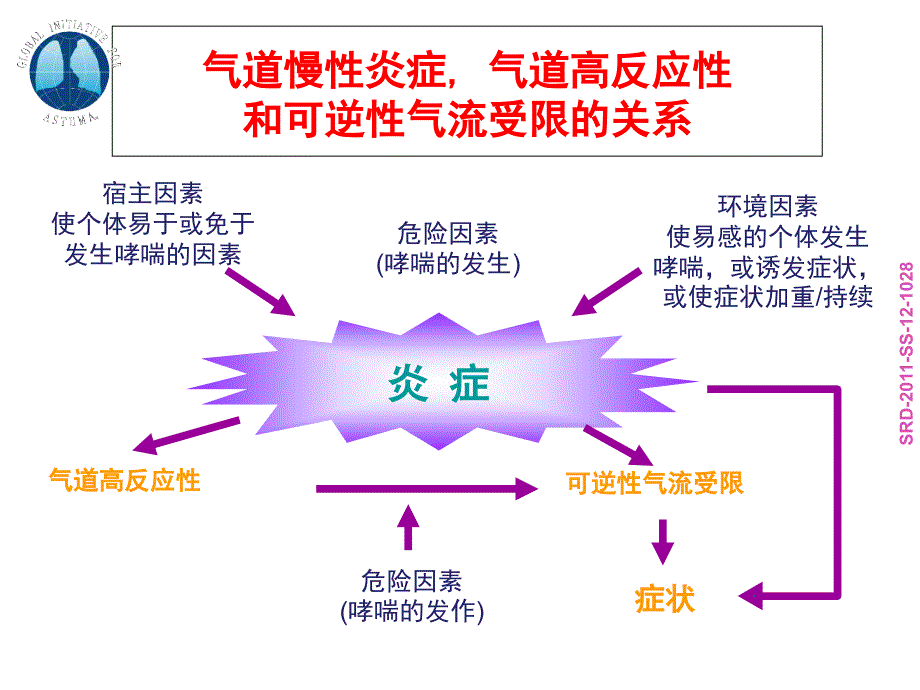 支气管哮喘指南解读课件_第1页