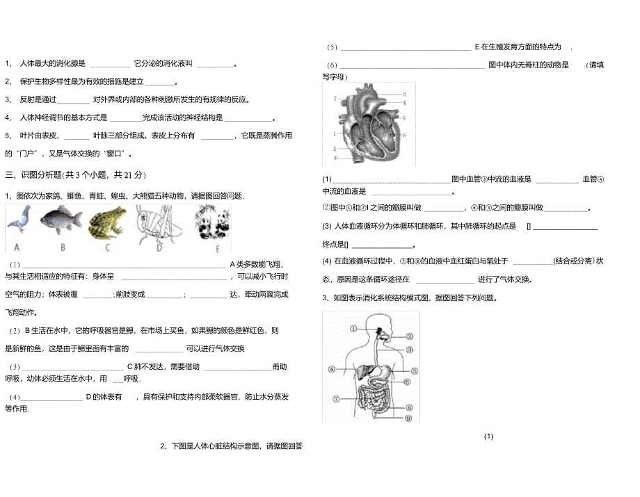 最新初中七年级生物(上册)期末综合试题及答案_第4页