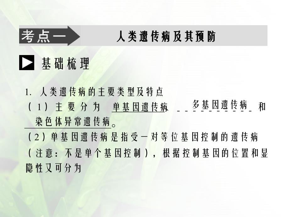 必修二生物总复习第5章第3节_第4页