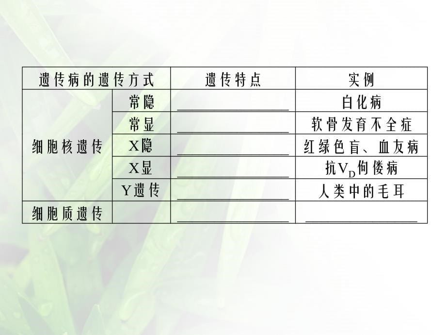 必修二生物总复习第5章第3节_第5页