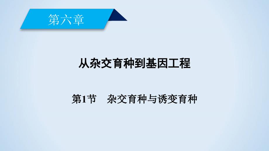 人教版生物必修二同步导学精品课件：第六章 从杂交育种到基因工程 第1节_第2页