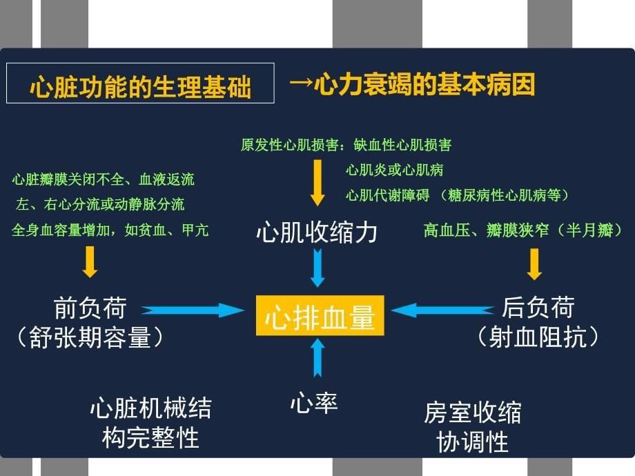 心力衰竭护理新进展ppt幻灯片_第5页