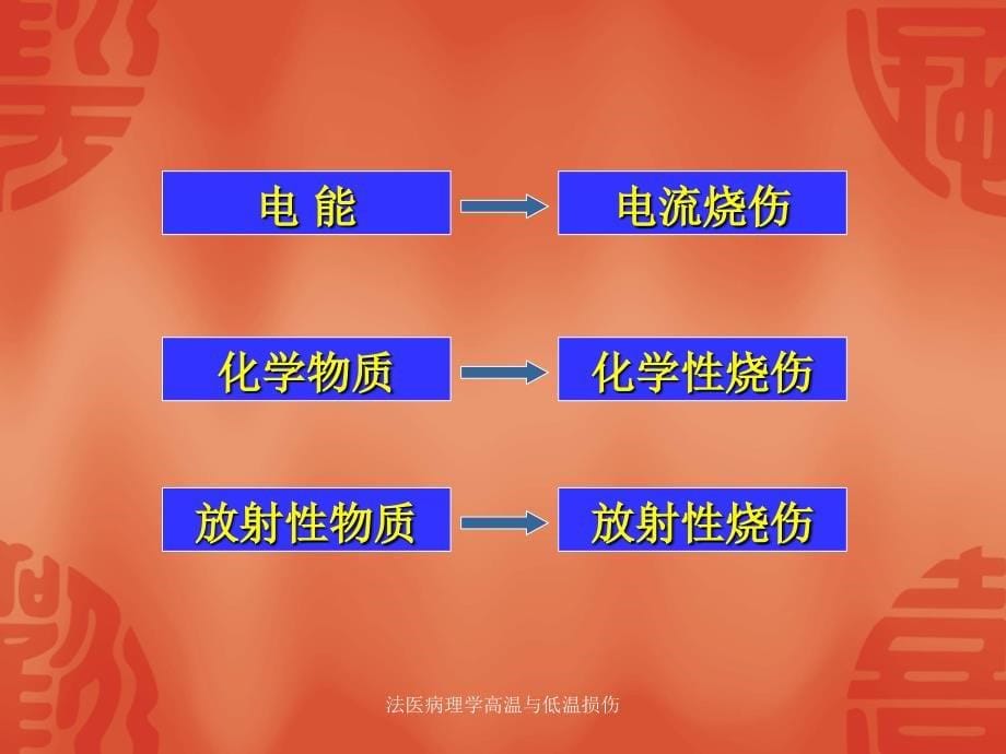 法医病理学高温与低温损伤课件_第5页