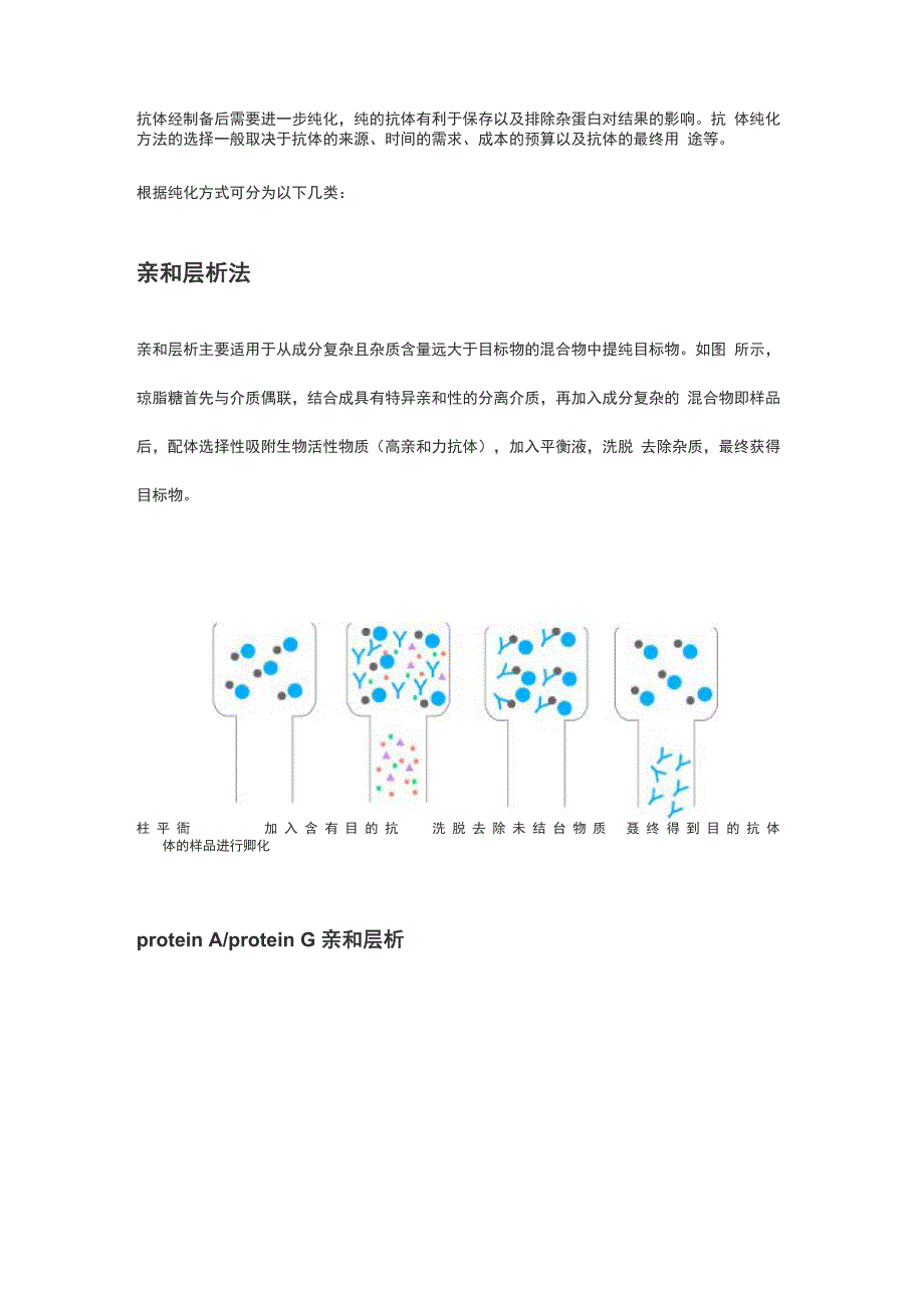 常用抗体纯化方法_第1页