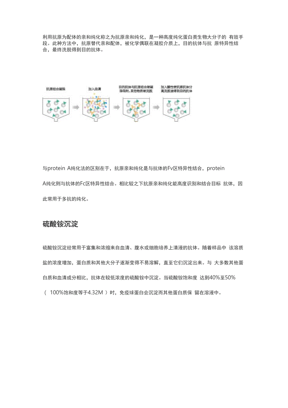 常用抗体纯化方法_第3页