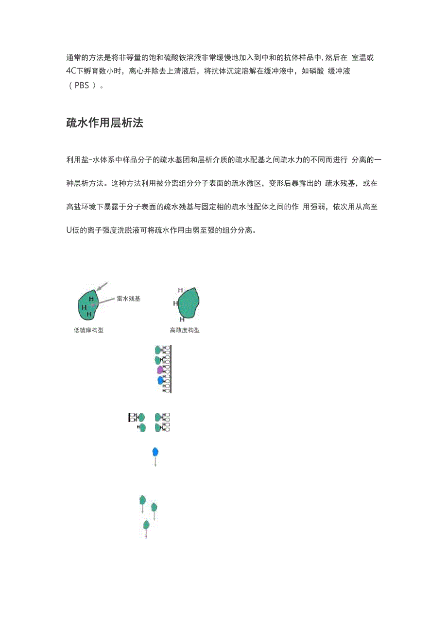 常用抗体纯化方法_第4页