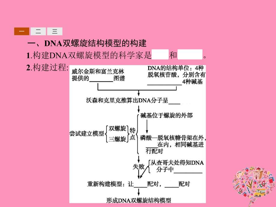 高中生物第3章基因的本质3.2DNA分子的结构课件新人教版必修2_第3页