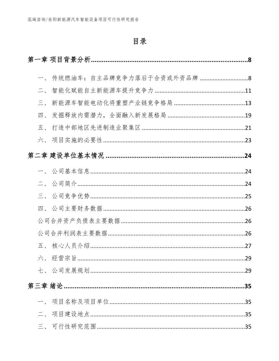 岳阳新能源汽车智能设备项目可行性研究报告_第1页