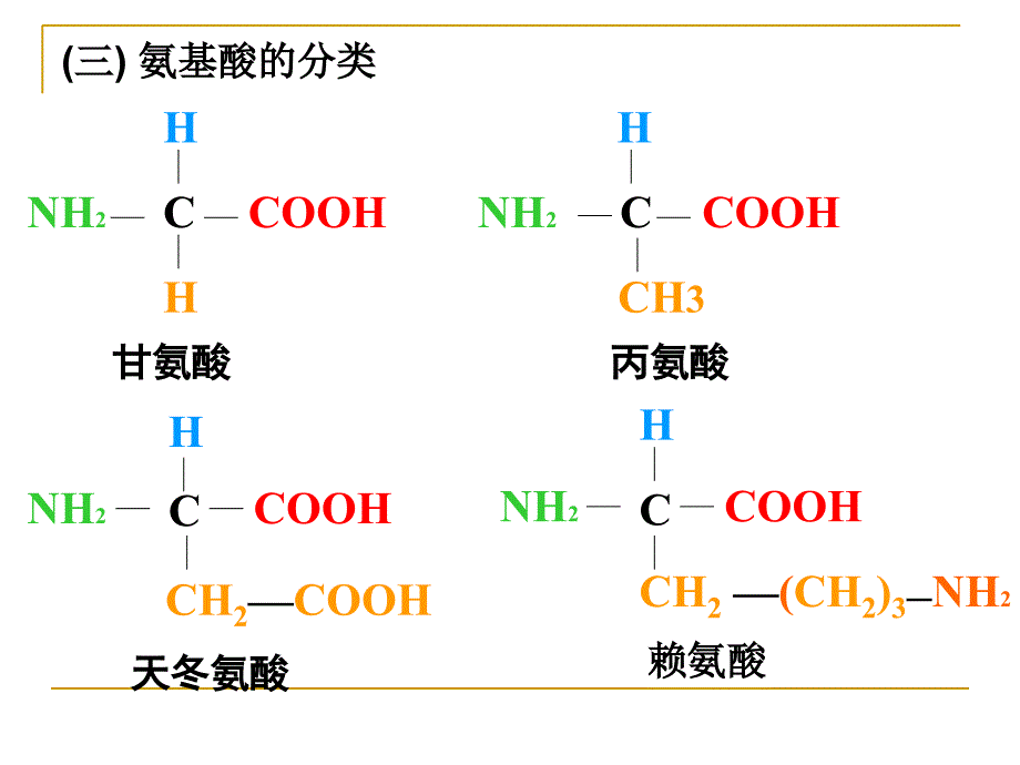 《生命的物质基础》课件_第3页