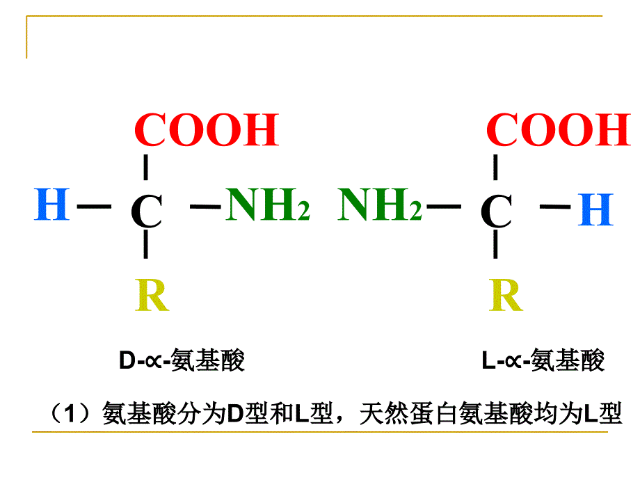 《生命的物质基础》课件_第4页