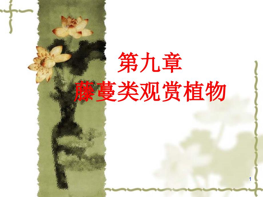 藤蔓类观赏植物PowerPoint 演示文稿_第1页