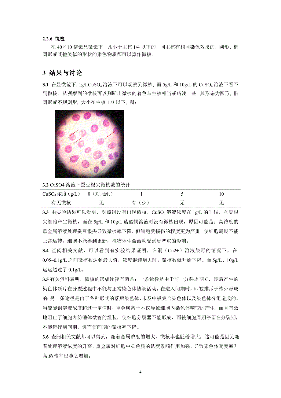 硫酸铜对蚕豆根尖细胞微核效应的研究.doc_第4页