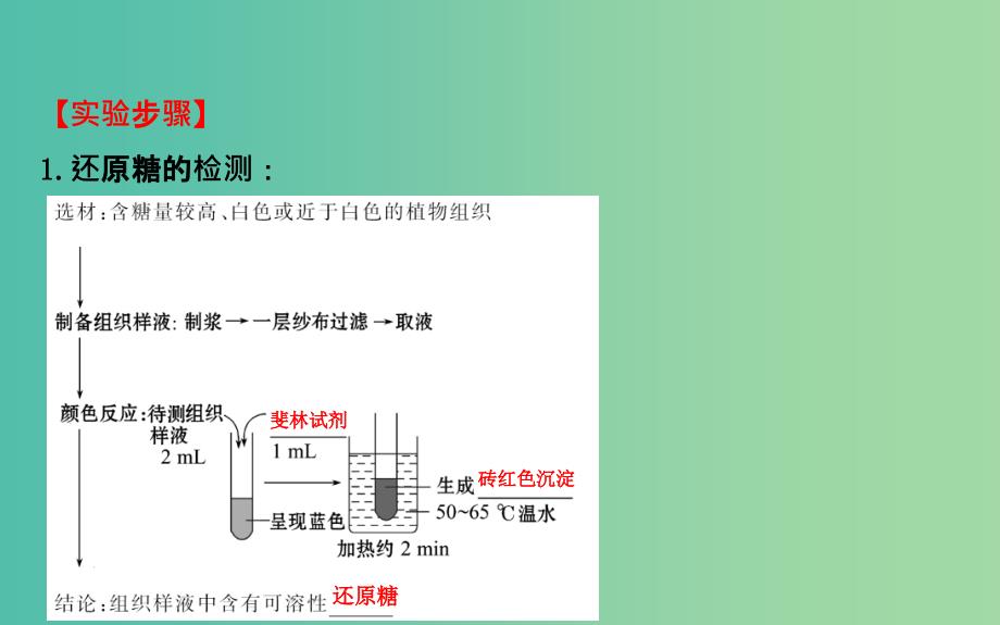 高三生物第一轮复习 第2章 实验：检测生物组织中的糖类、脂肪和蛋白质课件 新人教版必修1.ppt_第4页