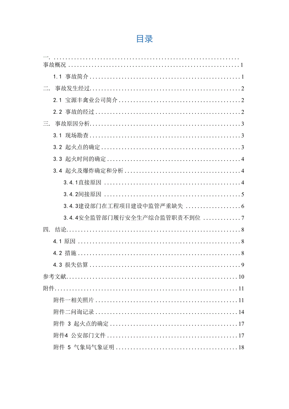 宝源丰事故调查报告_第1页