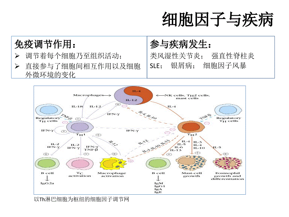 流式多因子检测技术_第4页