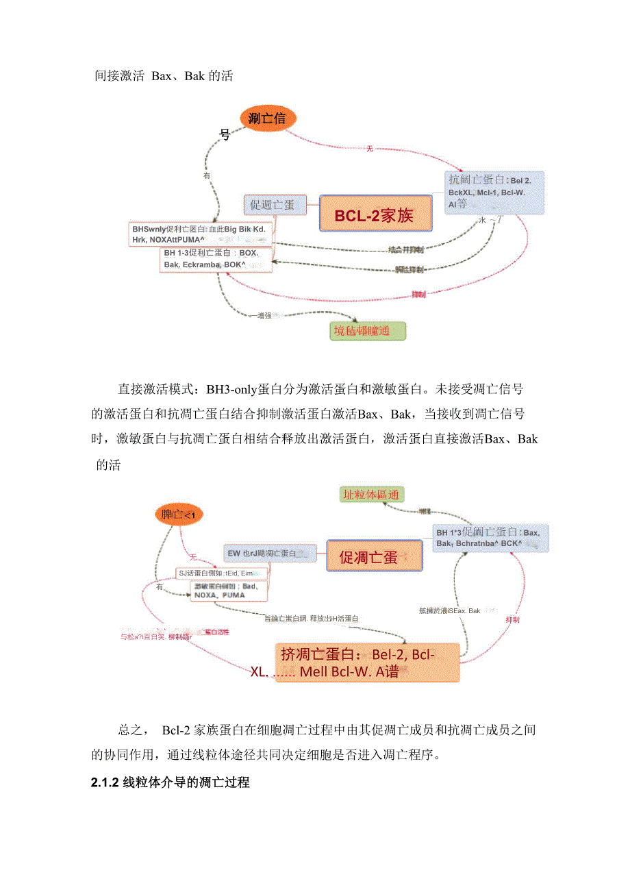 线粒体主导的细胞凋亡((1)_第4页