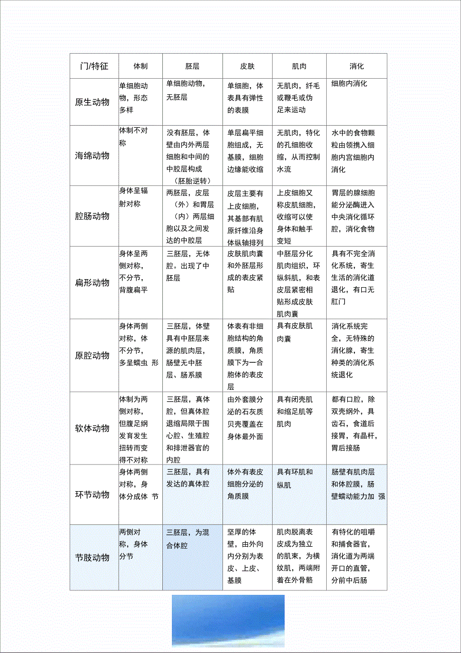 动物各门类总结_第1页