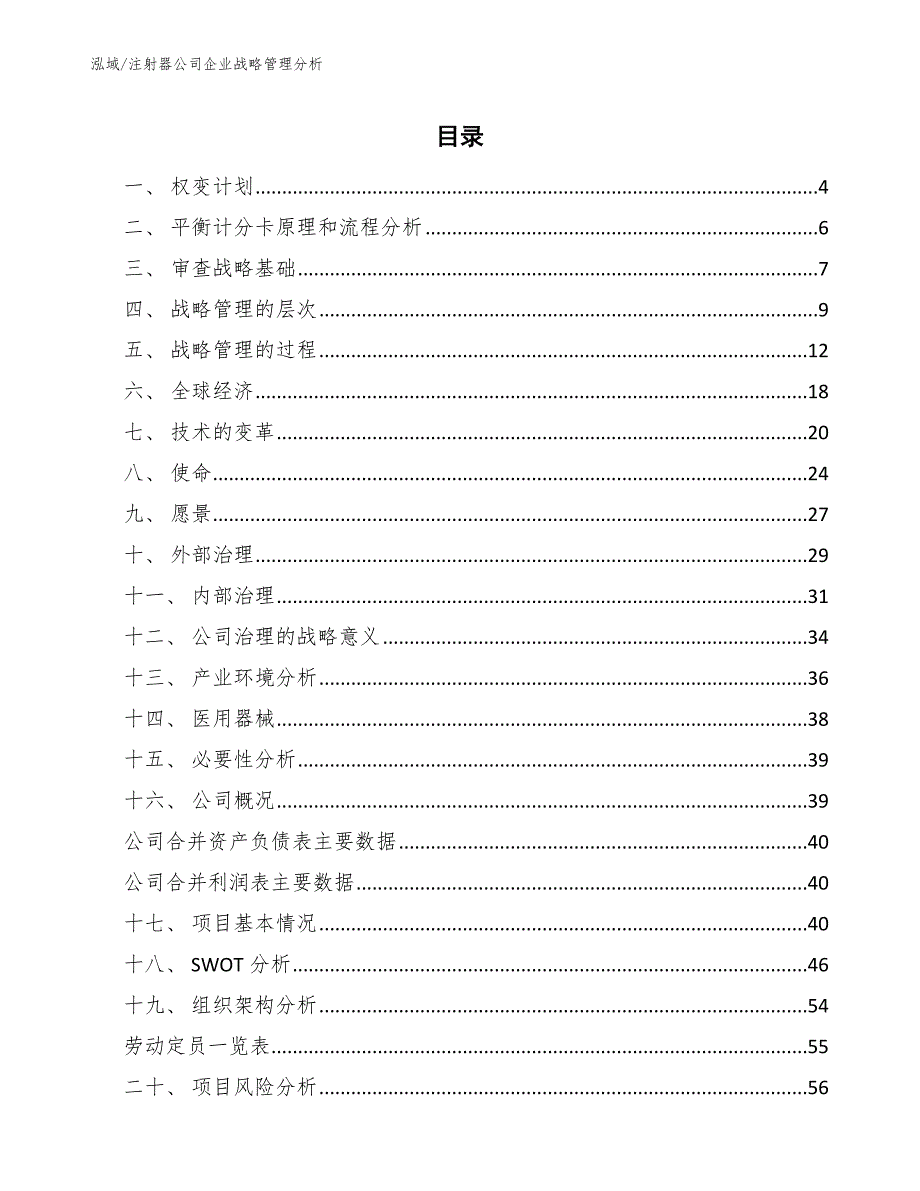 注射器公司企业战略管理分析【范文】_第2页