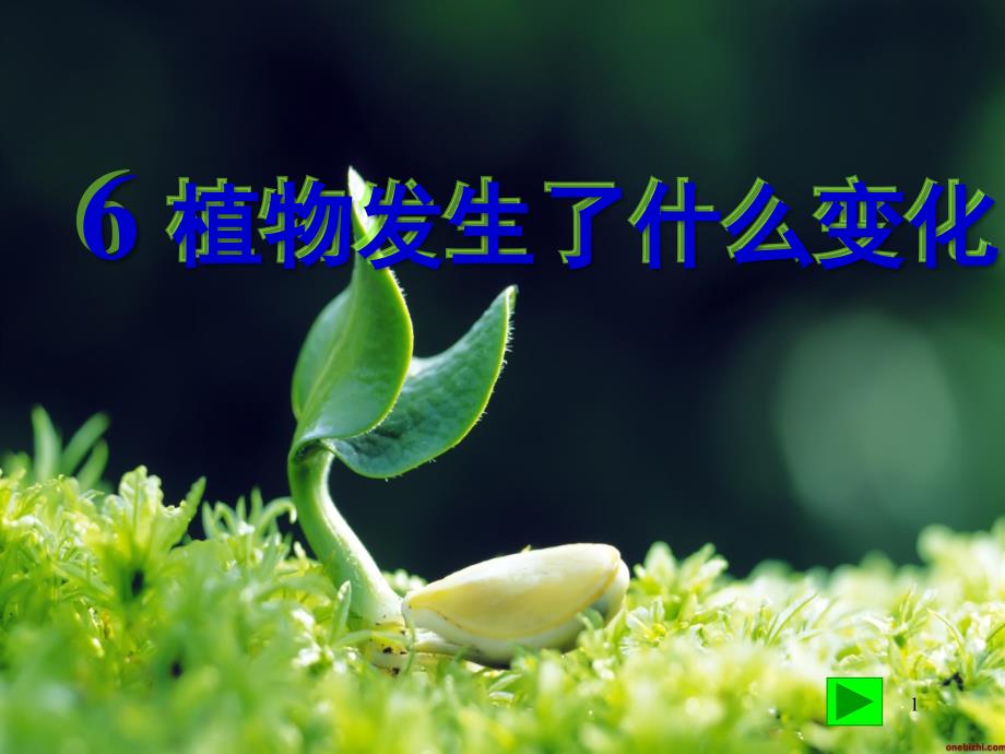 植物发生了什么变化ppt课件_第1页