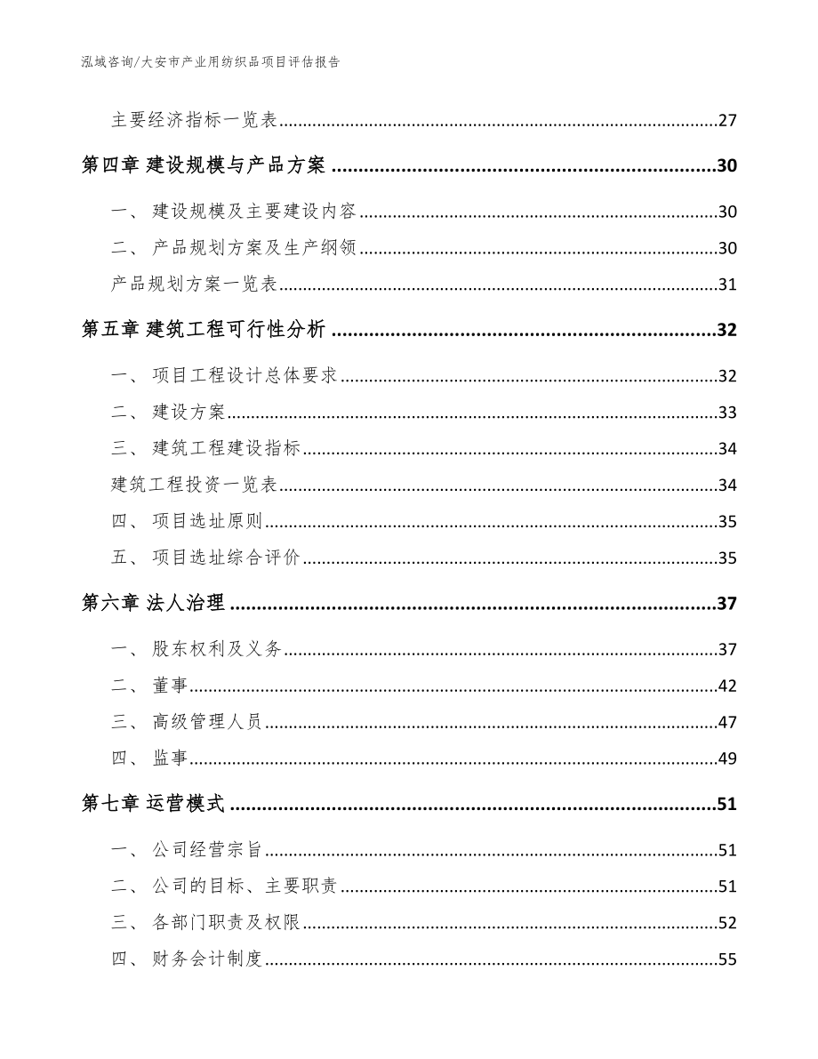 大安市产业用纺织品项目评估报告（参考范文）_第2页