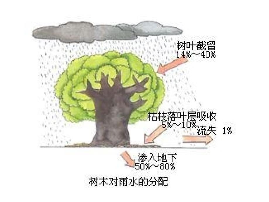 第二节森林的开发_第4页