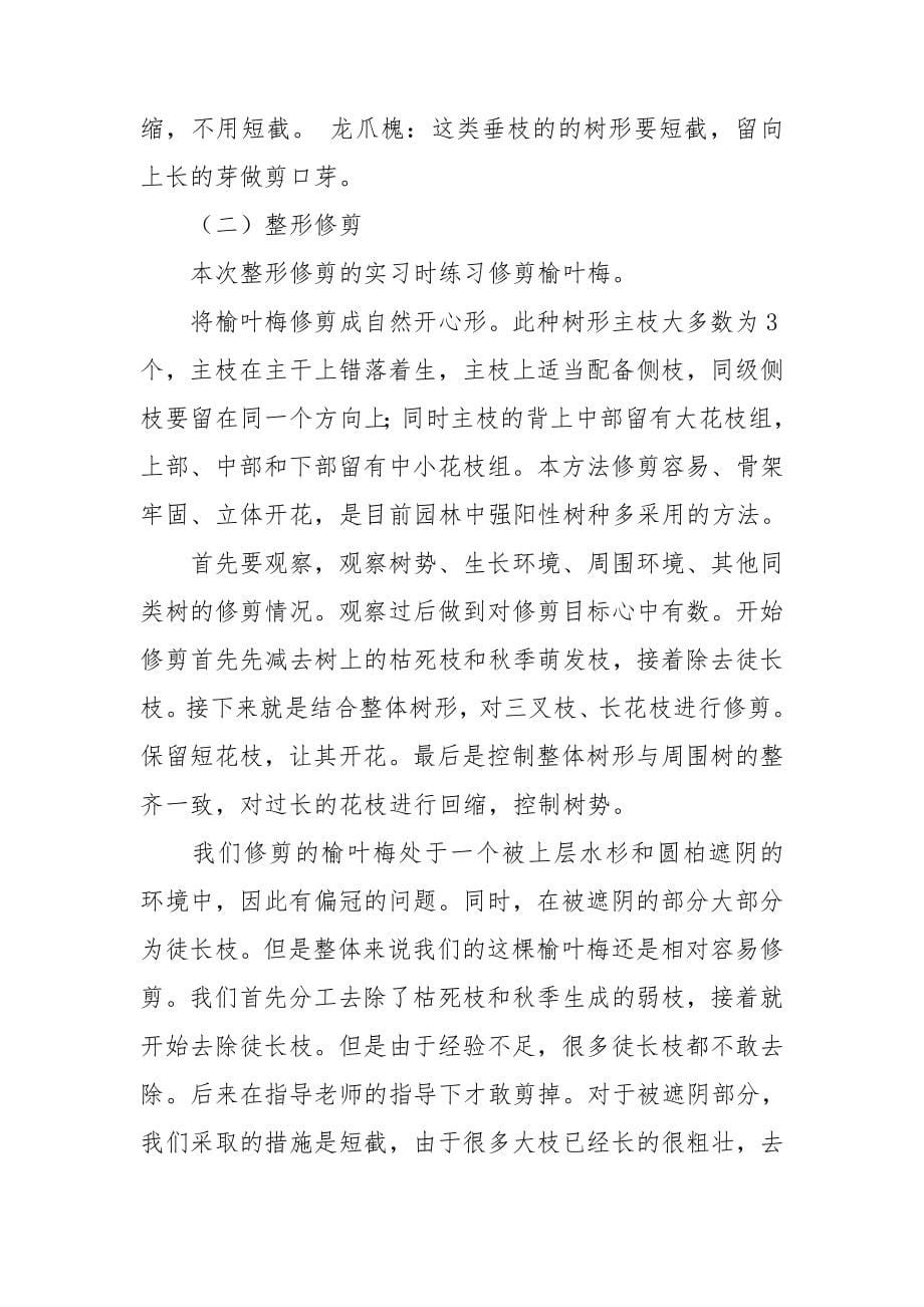 植物养护实习报告.doc_第5页